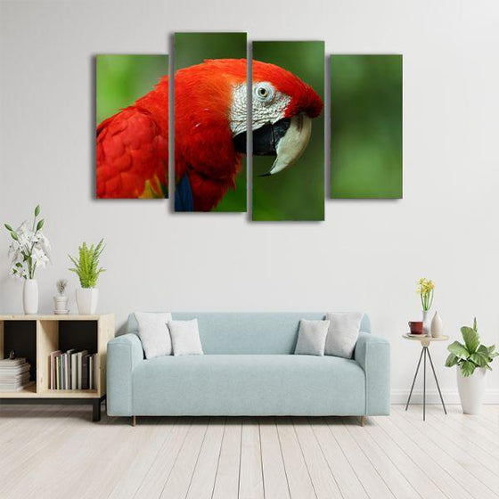 Vibrant Red Macaw Canvas Wall Art Decor