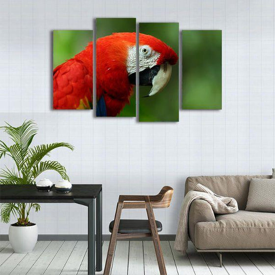 Vibrant Red Macaw Canvas Wall Art Kitchen