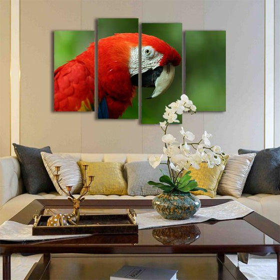 Vibrant Red Macaw Canvas Wall Art Living Room