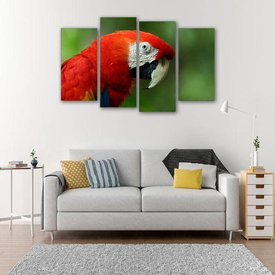 Vibrant Red Macaw Canvas Wall Art Prints