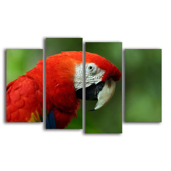 Vibrant Red Macaw Canvas Wall Art