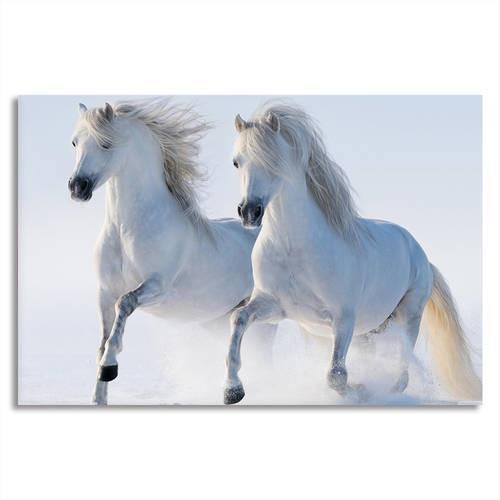 White Wild Horses Canvas Wall Art