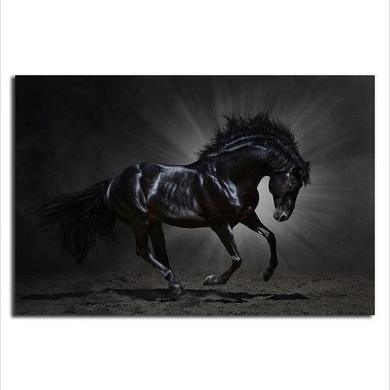 Wild Black Horse Canvas Wall Art