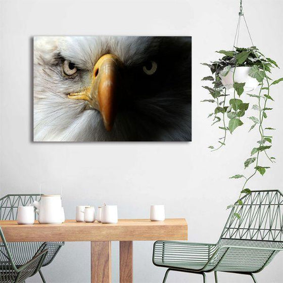 Wild Eagle 1 Panel Canvas Wall Art Living Room