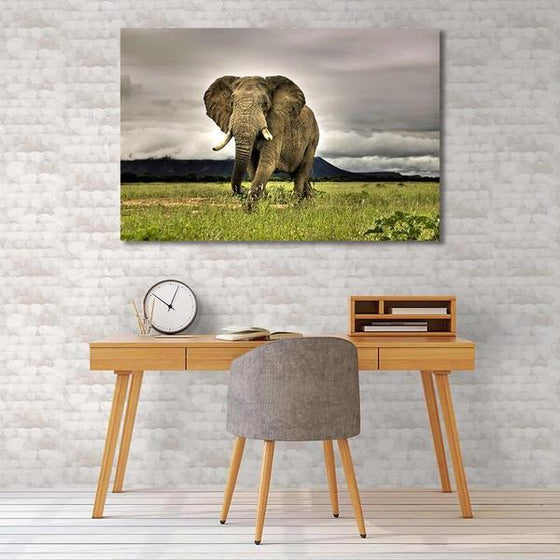 Wild Elephant Canvas Wall Art Bedroom