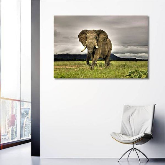 Wild Elephant Canvas Wall Art Ideas