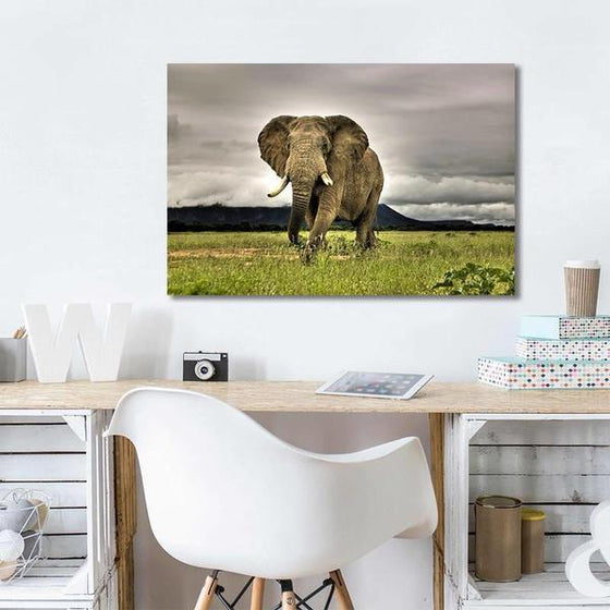 Wild Elephant Canvas Wall Art Print
