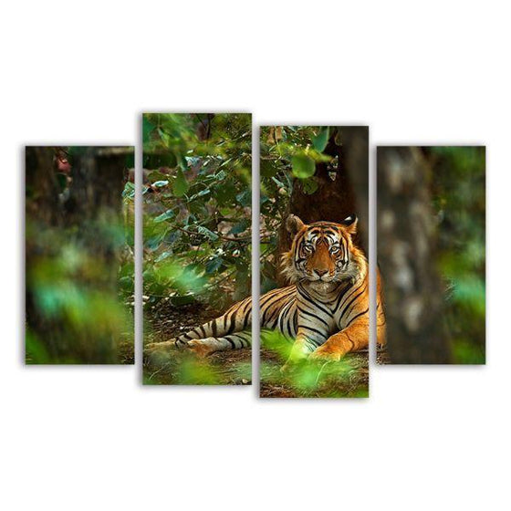 Wild Siberian Tiger 4 Panels Canvas Wall Art