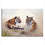 Wild Tigers Canvas Wall Art