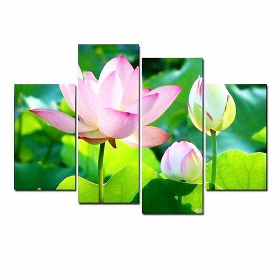 Lotus Flower And Buds Canvas Wall Art