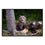 Young Bears In The Forest Canvas Wall Art Print