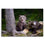 Young Bears In The Forest Canvas Wall Art