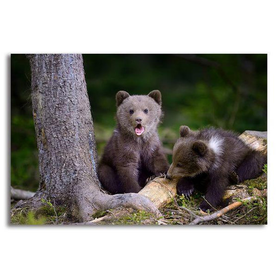 Young Bears In The Forest Canvas Wall Art